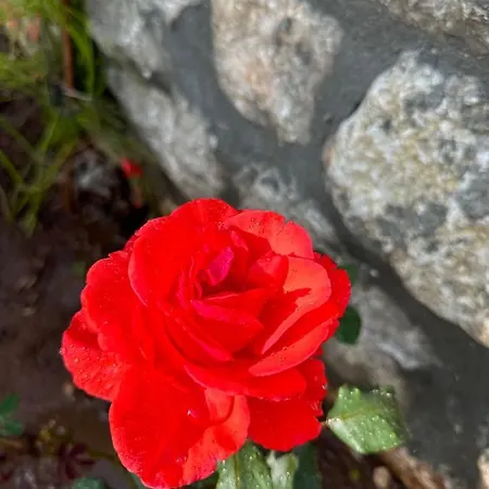Sevimli Evler Orhaniye 2 Szálloda Marmaris